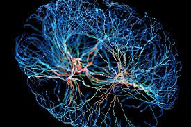 Neuroplaszticitás és tükörkezelés